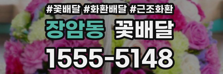 장암동 꽃배달