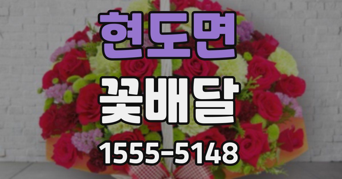 현도면 꽃배달