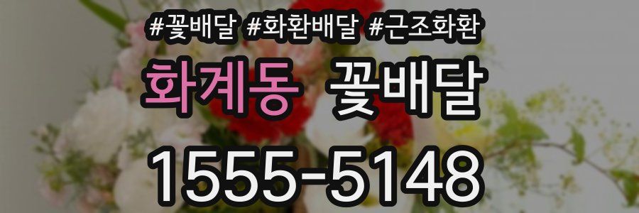 화계동 꽃배달