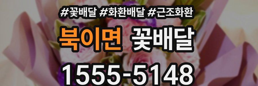 북이면 꽃배달
