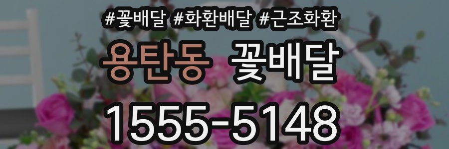 용탄동 꽃배달