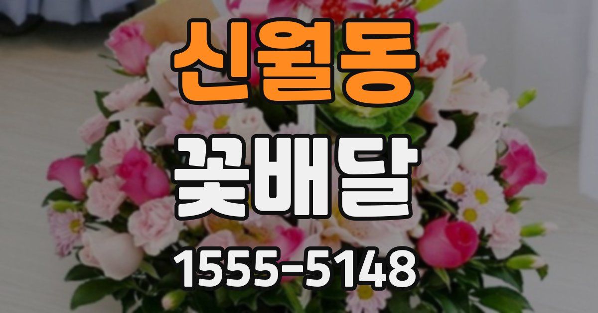 신월동 꽃배달