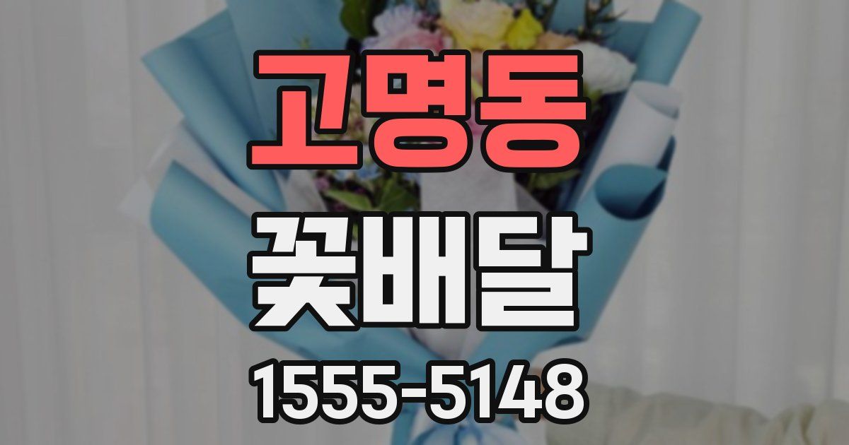 고명동 꽃배달