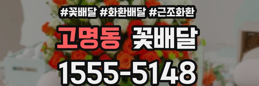 고명동 꽃배달