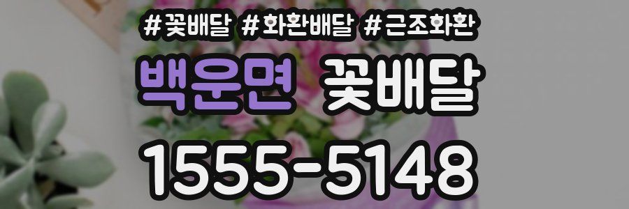 백운면 꽃배달