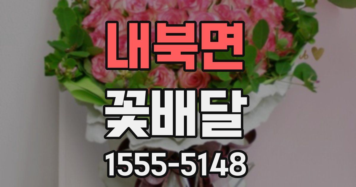 내북면 꽃배달