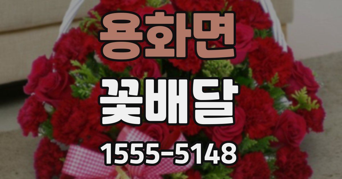 용화면 꽃배달