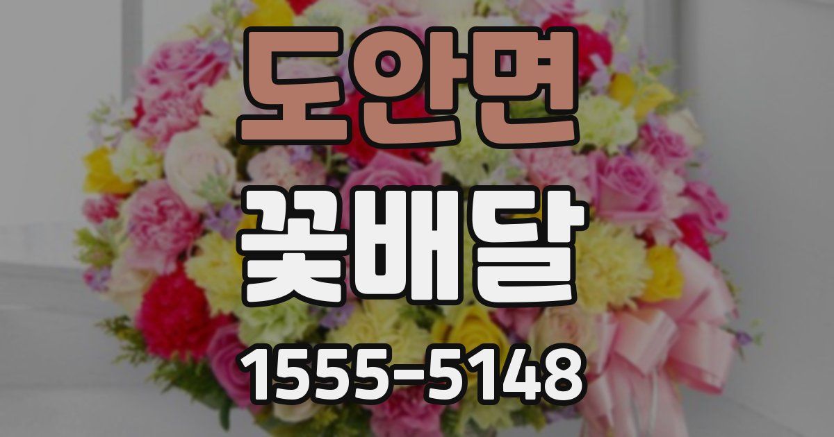 도안면 꽃배달