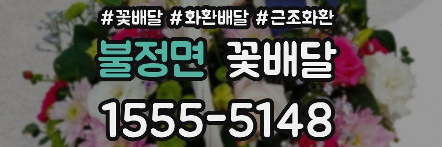 불정면 꽃배달