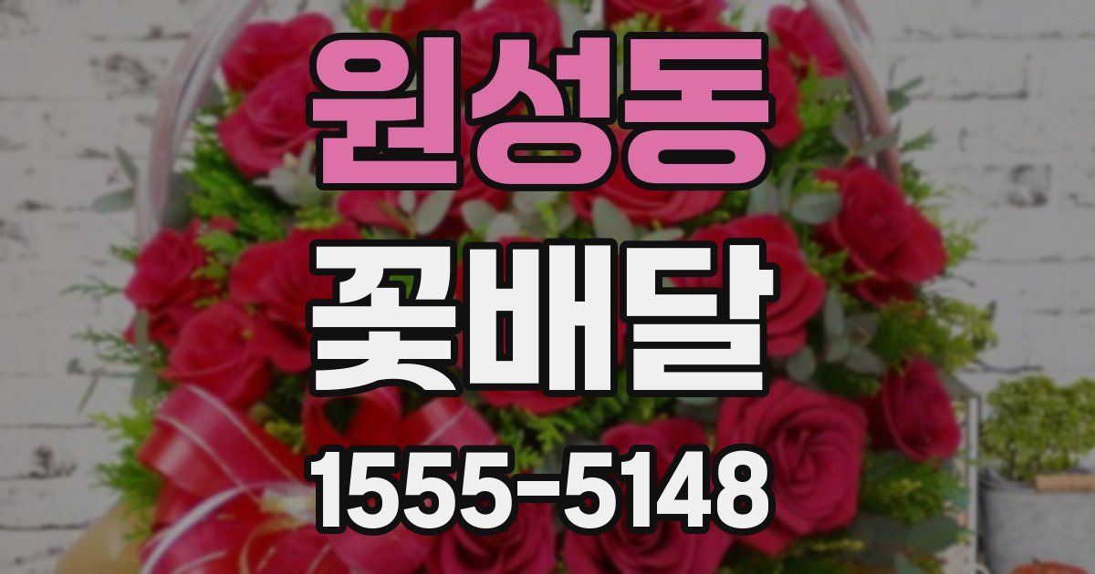 원성동 꽃배달