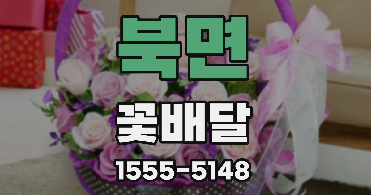북면 꽃배달
