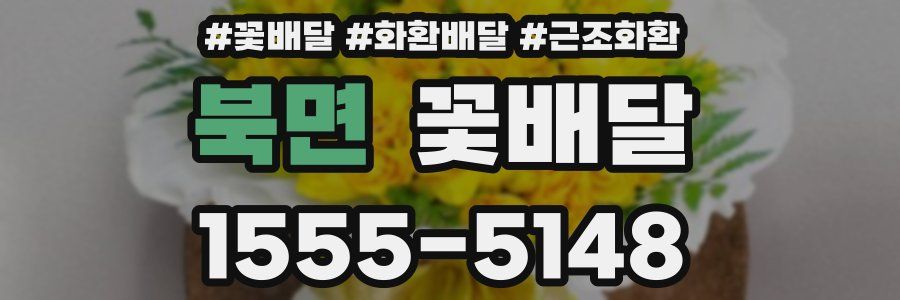 북면 꽃배달