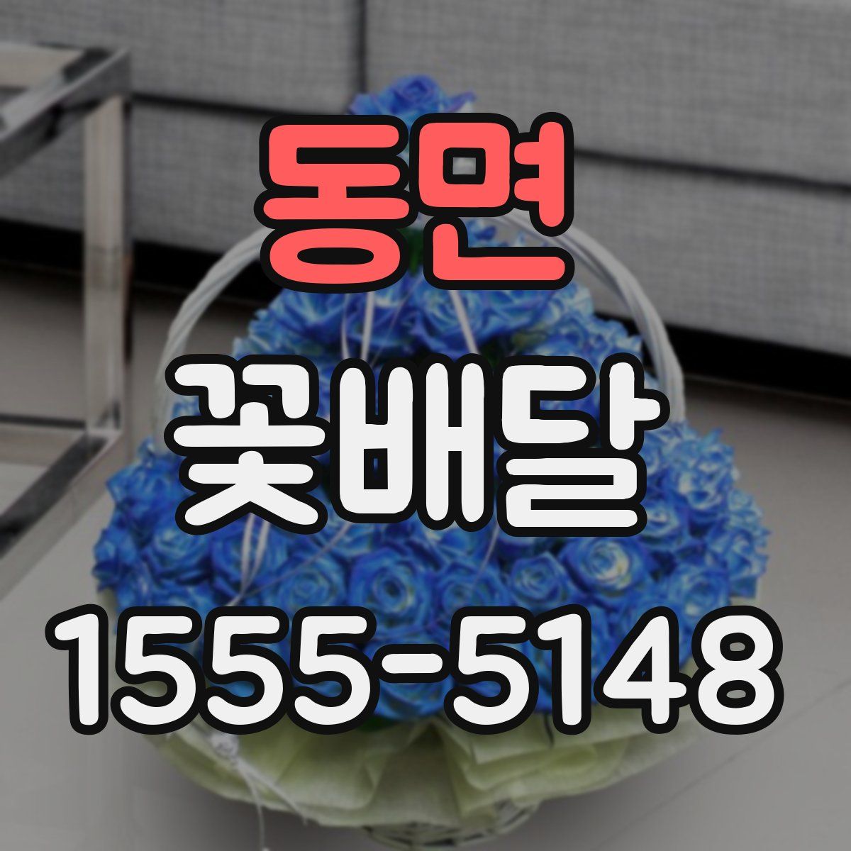 동면 꽃배달