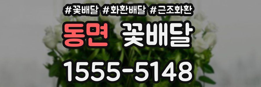 동면 꽃배달