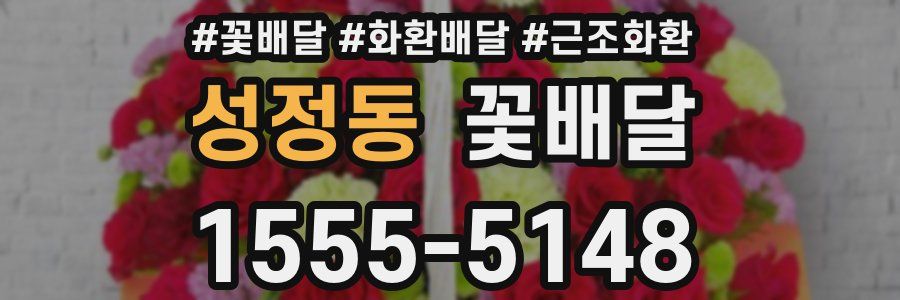 성정동 꽃배달