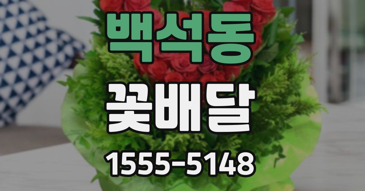 백석동 꽃배달