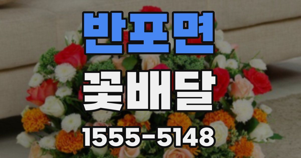 반포면 꽃배달