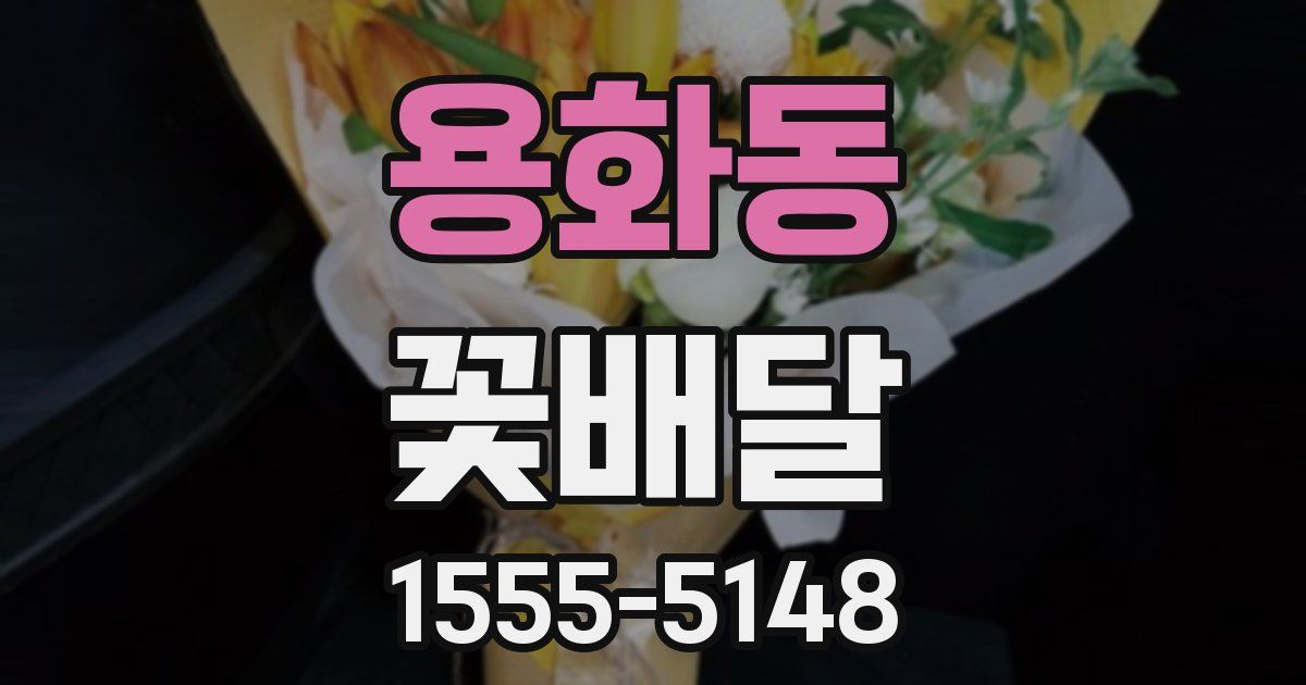 용화동 꽃배달
