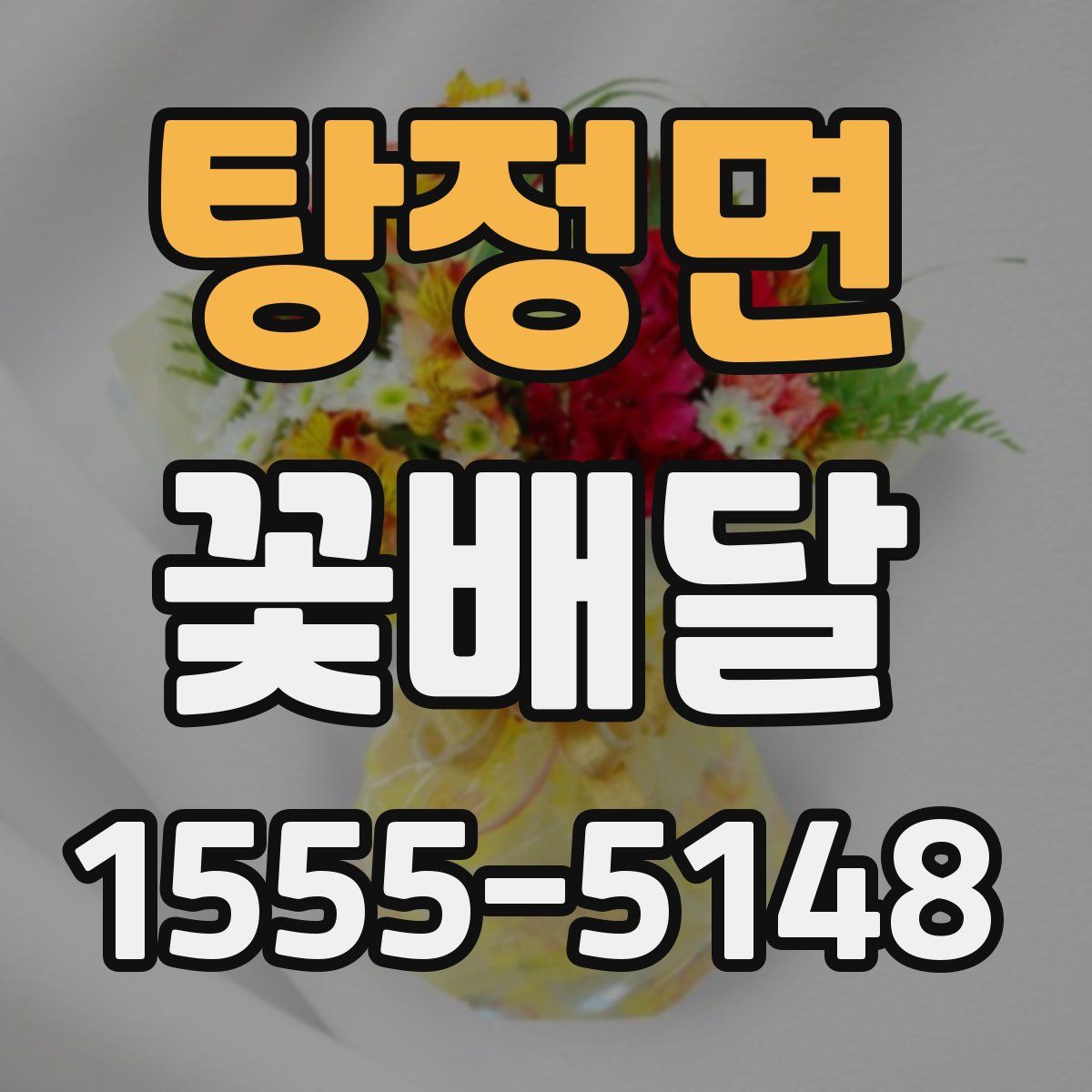 탕정면 꽃배달