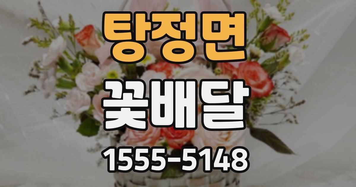 탕정면 꽃배달