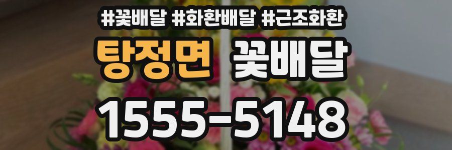 탕정면 꽃배달