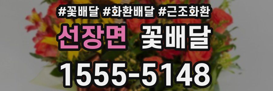 선장면 꽃배달