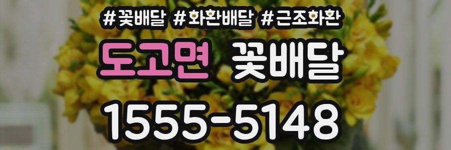 도고면 꽃배달