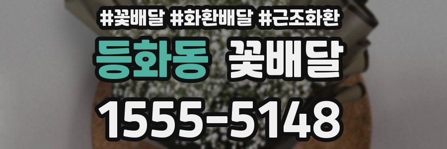 등화동 꽃배달