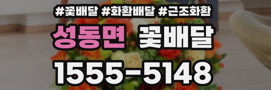 성동면 꽃배달