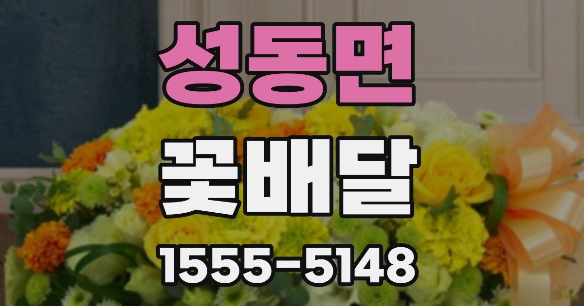 성동면 꽃배달