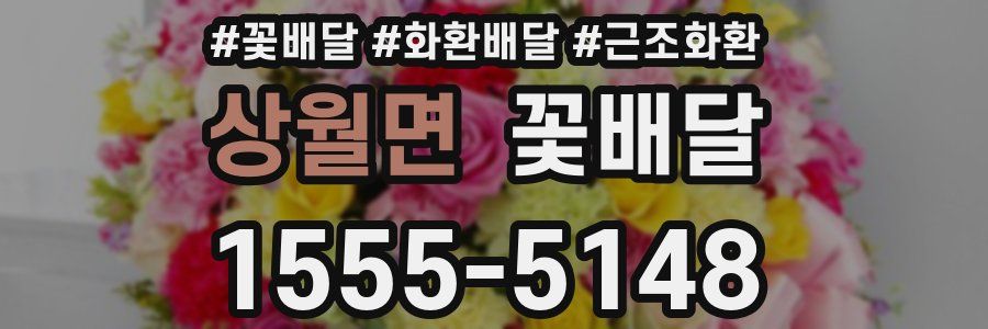 상월면 꽃배달
