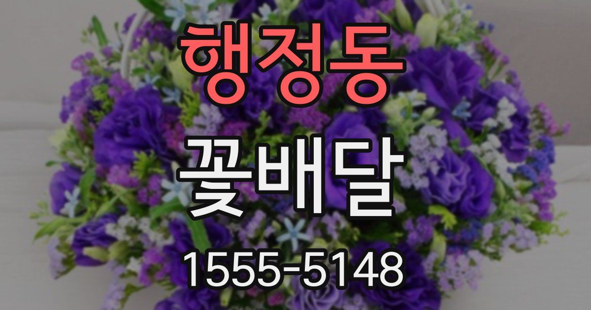 행정동 꽃배달