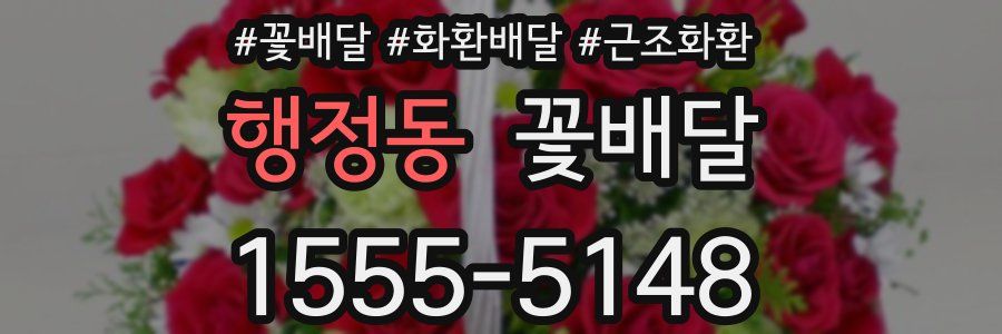 행정동 꽃배달