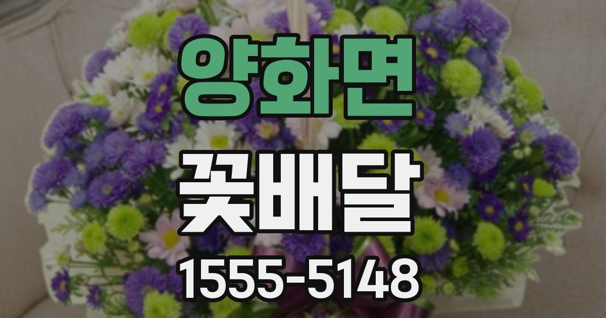 양화면 꽃배달