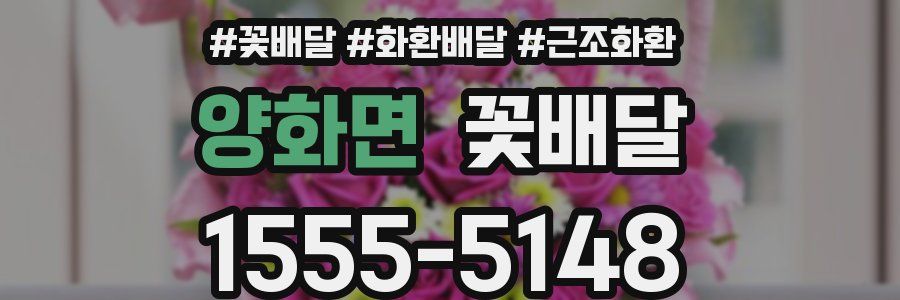 양화면 꽃배달
