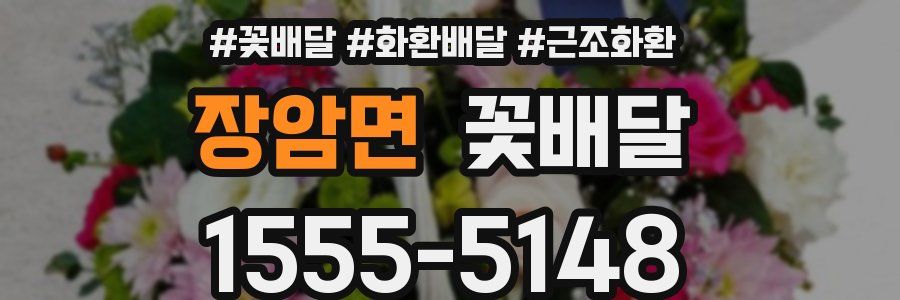 장암면 꽃배달