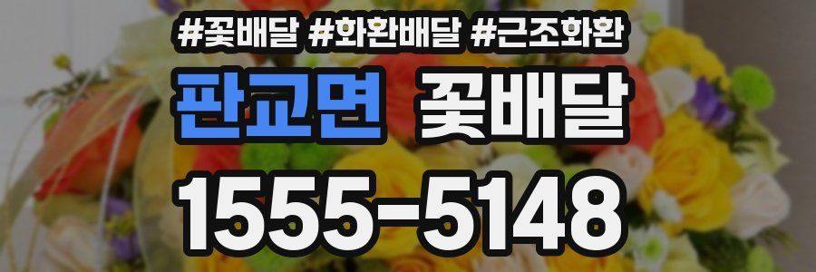 판교면 꽃배달