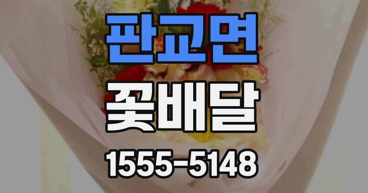 판교면 꽃배달
