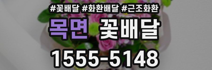 목면 꽃배달