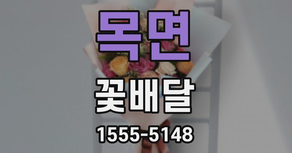 목면 꽃배달