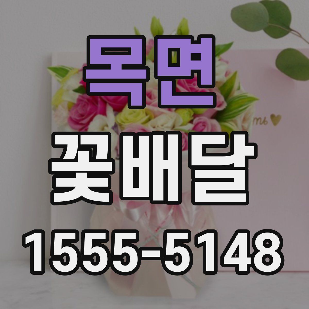 목면 꽃배달