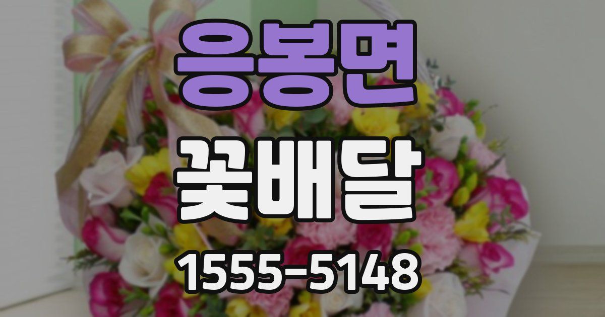 응봉면 꽃배달