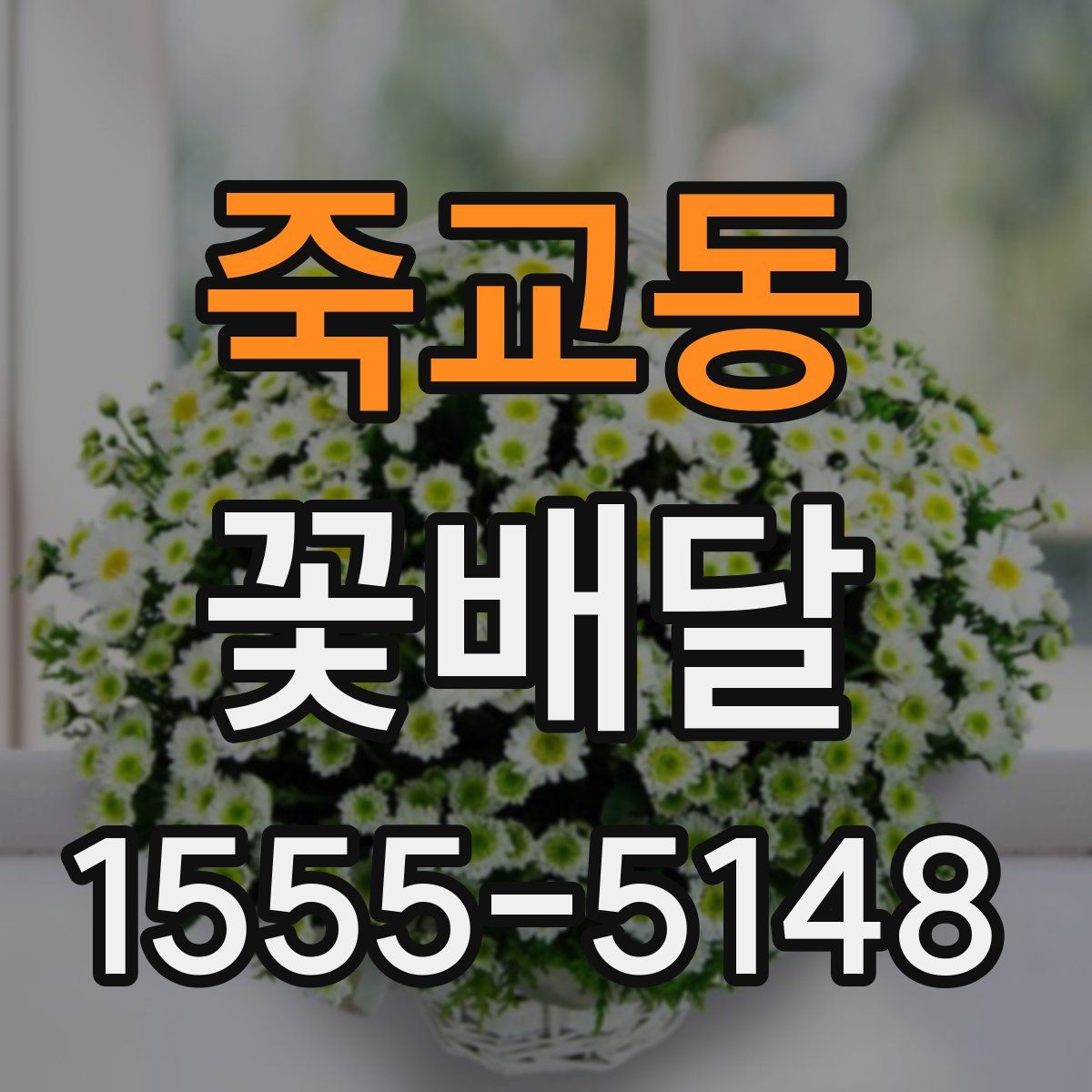 죽교동 꽃배달