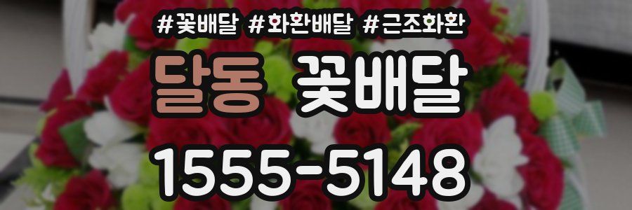 달동 꽃배달