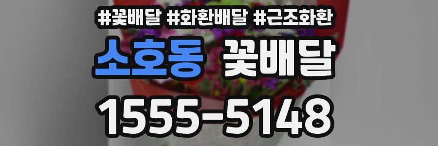 소호동 꽃배달