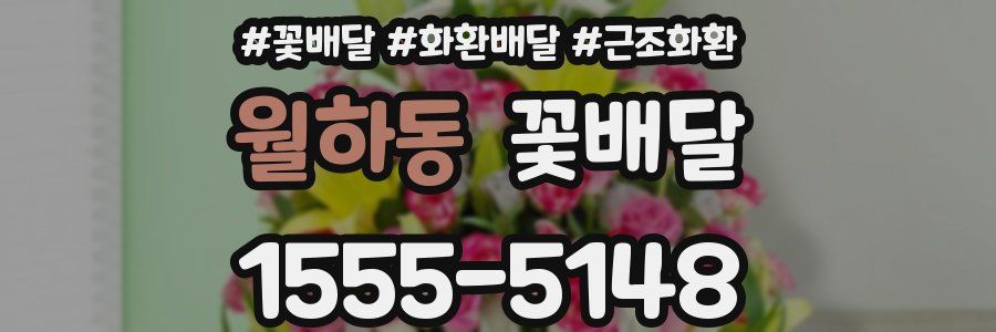 월하동 꽃배달
