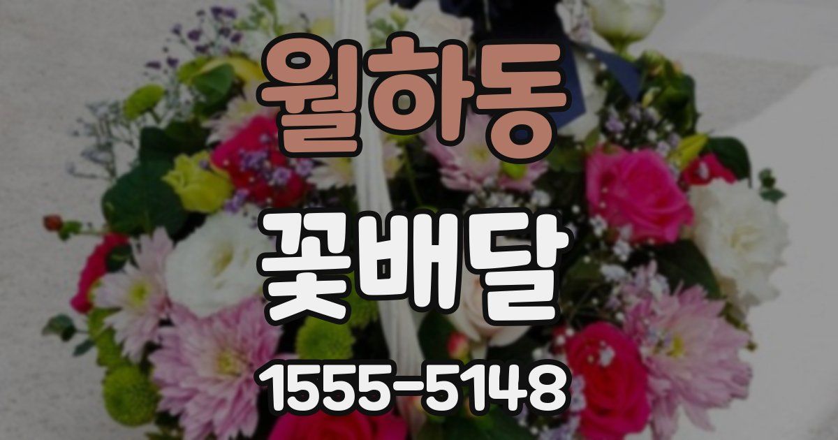 월하동 꽃배달