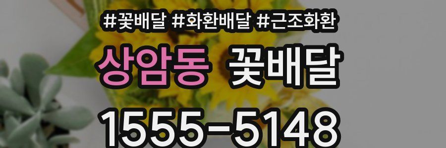 상암동 꽃배달