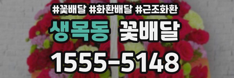 생목동 꽃배달