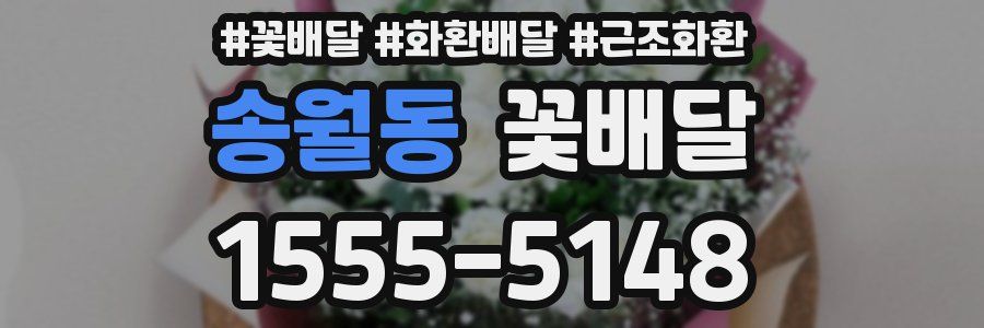 송월동 꽃배달